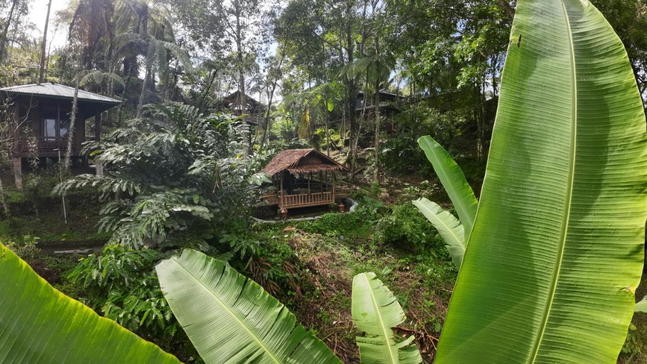 Rimba Eco Resort Tomohon Exterior photo