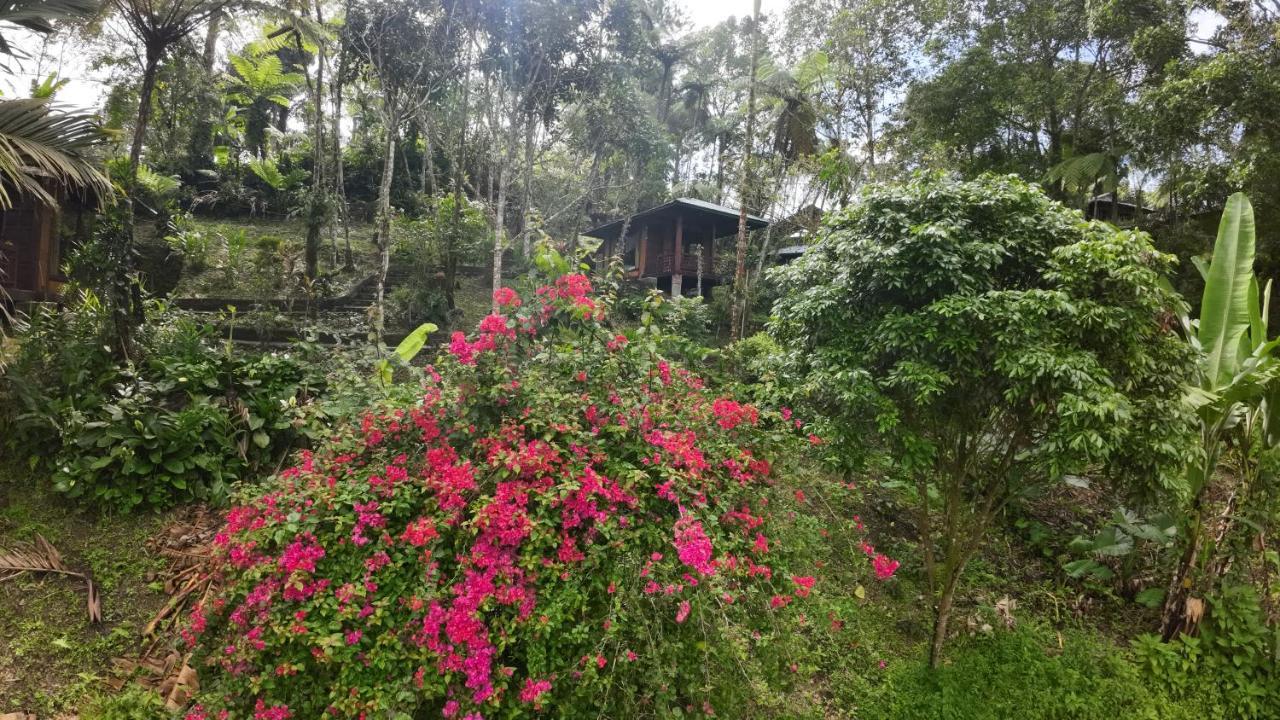Rimba Eco Resort Tomohon Exterior photo